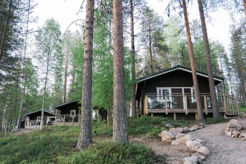 een blokhut in het bos met bomen bij LakeLodge Kiehinen & Igloos in Rovaniemi