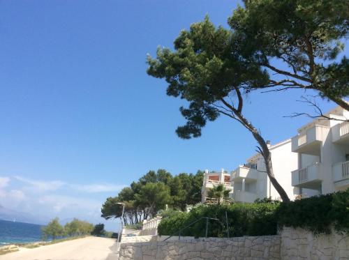 a building on the side of a beach with a tree at Apartment Andrea in Sutivan