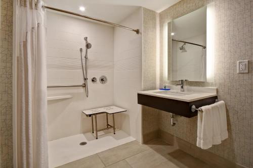 a bathroom with a sink and a shower at Holiday Inn Express & Suites Allentown-Dorney Park Area, an IHG Hotel in Allentown