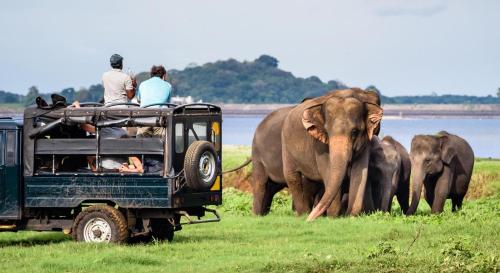a group of people in a jeep watching elephants at Dinesh Safari Homestay in Udawalawe
