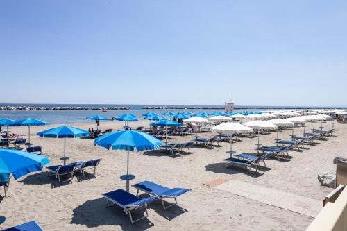 a beach with blue and white chairs and umbrellas at Hotel Primavera sul mare in Lido di Savio