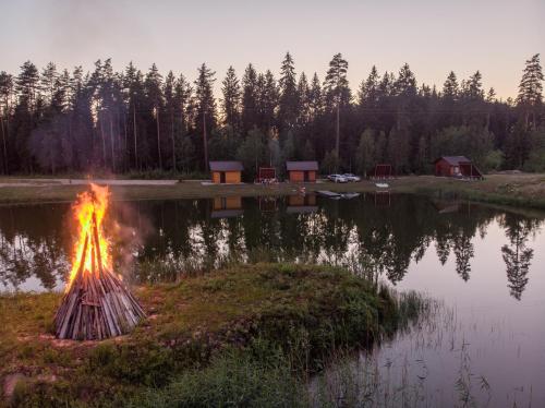 a bonfire in the grass next to a lake at Metsjärve kämping in Puskaru