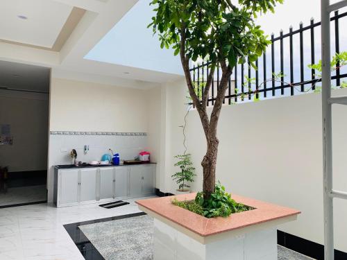 un arbre au milieu d'une pièce avec cuisine dans l'établissement PHUONG QUYEN hotel, à Cu Lao Thu