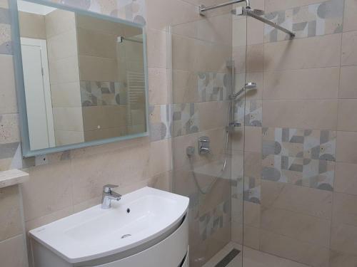 a bathroom with a sink and a shower with a mirror at Vila Hrvatska in Ražanj