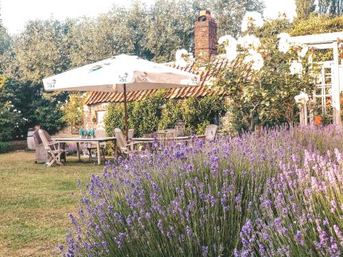a table and umbrella in a garden with purple flowers at Hoeve Westdijk in Oostkamp