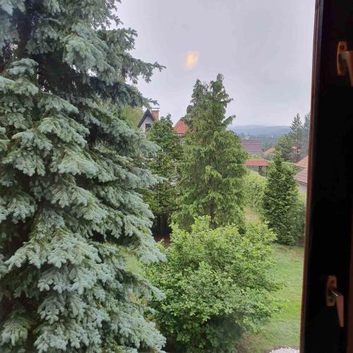 a view of some trees from a train window at Planinska kuća sa dvorištem in Zlatibor