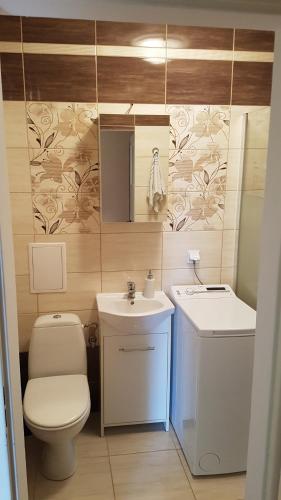 Baño pequeño con aseo y lavamanos en Apartament w spokojnej okolicy, en Gdansk