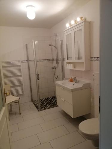 a bathroom with a shower and a sink and a toilet at Forsthof Schlemmin in Eickhof