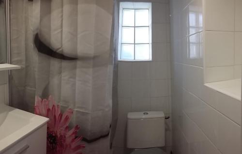 une salle de bain blanche avec toilettes et fenêtre dans l'établissement Le Mazet du Thym, à Restinclières