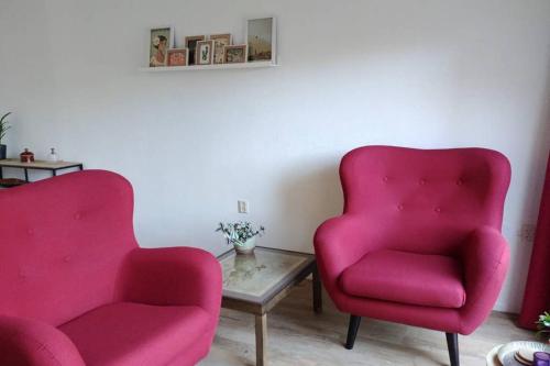 two pink chairs and a coffee table in a room at Ruim en huiselijk appartement met eigen tuin, compleet uitgerust, dichtbij natuur in Enter