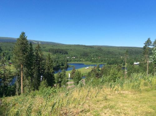 a view of a lake in the middle of a field at Sälens By in Sälen