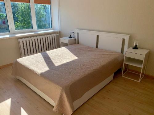 a bedroom with a bed and two windows at Centro Apartamentai in Zarasai