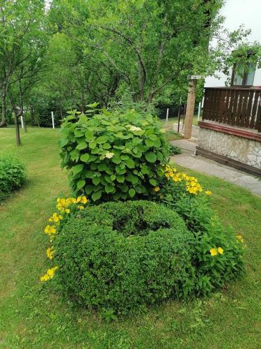 House Jezerka – Photos 3