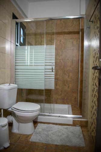 a bathroom with a toilet and a glass shower at Eleni Studios Parga in Parga
