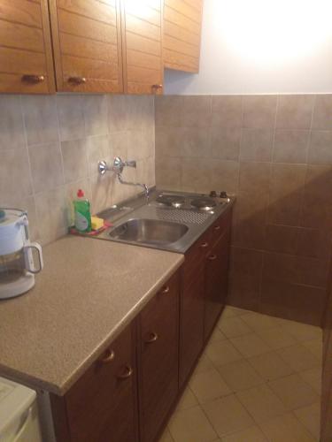 a kitchen with a sink and a counter top at Guest House Silvia in Rab
