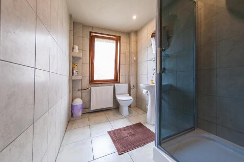 a bathroom with a shower and a toilet and a sink at Willa Melisa in Wisła