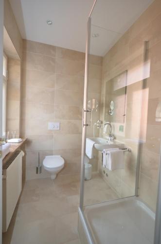 a bathroom with a shower and a toilet and a sink at Boutique Hotel Friesinger in Kressbronn am Bodensee