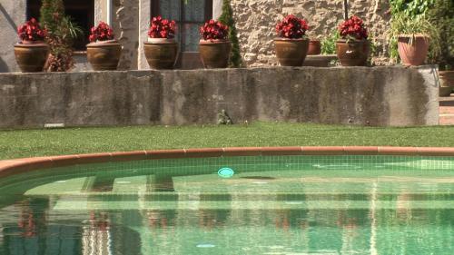 Kolam renang di atau dekat dengan Allotjaments Rurals Can Pere Petit