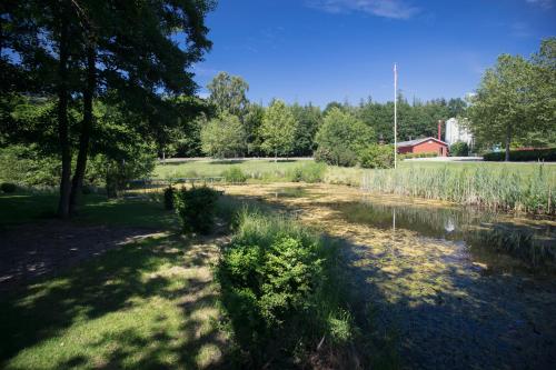 a grassy field with trees and a pond at Fjelsted Skov Hotel & Konference in Ejby