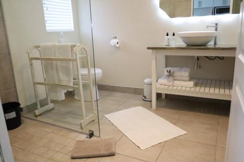 a bathroom with a sink and a toilet and a mirror at 113 on Robberg in Plettenberg Bay