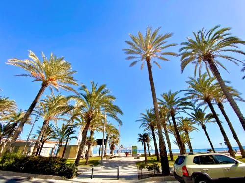 Fotografie z fotogalerie ubytování Nereo 7 Primera Linea de Playa San Juan Piscina, Parking wifi Inmobiliaria Leo v destinaci Alicante