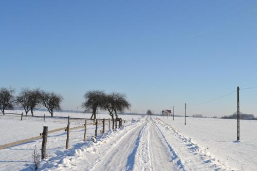 a snow covered road with trees and a fence at Domek mamy in Tykocin