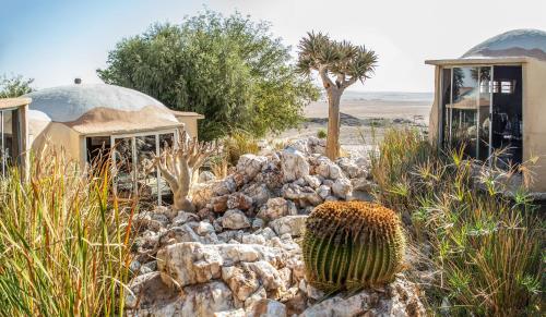 Φωτογραφία από το άλμπουμ του Rostock Ritz Desert Lodge σε Cha-re
