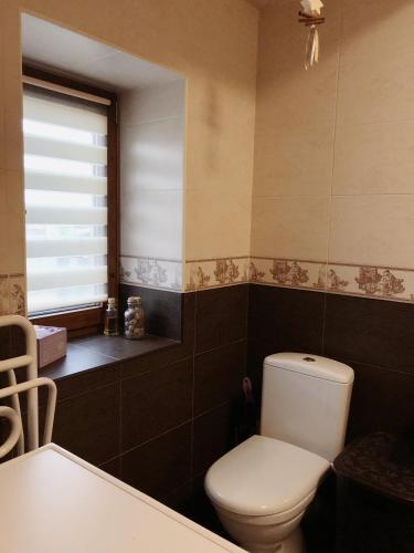 a bathroom with a toilet and a bath tub at Kuchonka in Chornomorsk