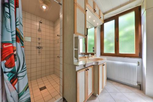 y baño con lavabo y ducha. en CHEZ LOU ET MAX : UN HAVRE DE PAIX., en Stosswihr