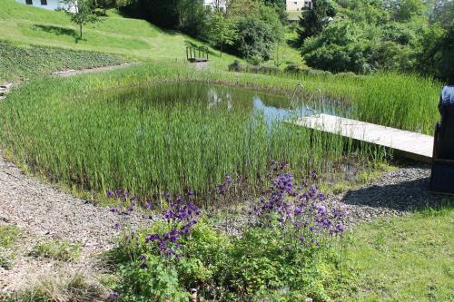 a pond with a wooden bench in a field with flowers at BELVEDERE - das BIO HOTEL Garni & SuiteHotel am Edersee ! Unser Geschenk für Sie, auch die GästeCard GrimmHeimat! in Waldeck