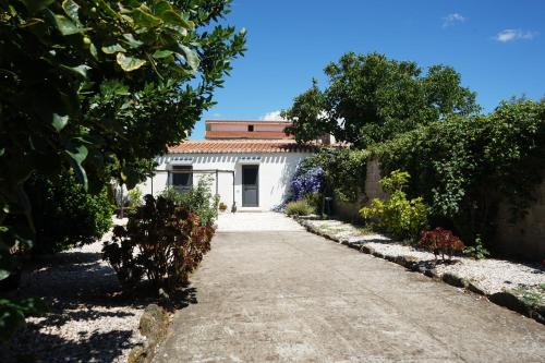 a driveway leading to a white house at B&B Catedda in Sedilo