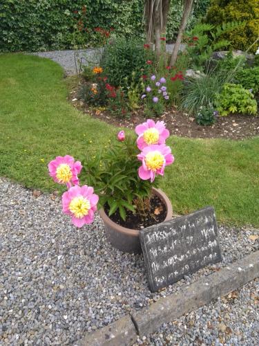 a flower garden with pink flowers and a sign at Twin Oaks Bed & Breakfast in Kilkenny