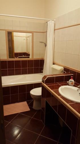 Kúpeľňa v ubytovaní Laetitia Panzió