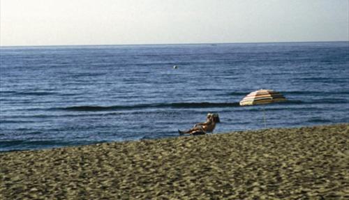 フエンヒロラにあるApartamento Marina Nacionalの海辺の浜辺に座る犬