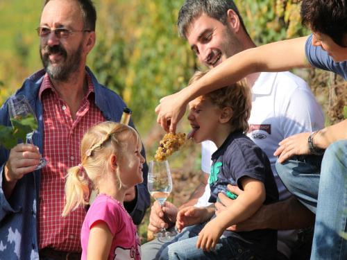 Wein & Wohngut Paulushof – Photos 3