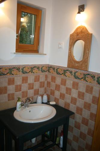 a bathroom with a sink and a mirror at Héregi Éden Vendégház in Héreg
