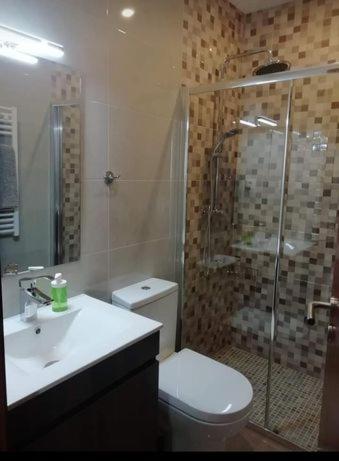 a bathroom with a shower and a toilet and a sink at Casa Morgado in Braga