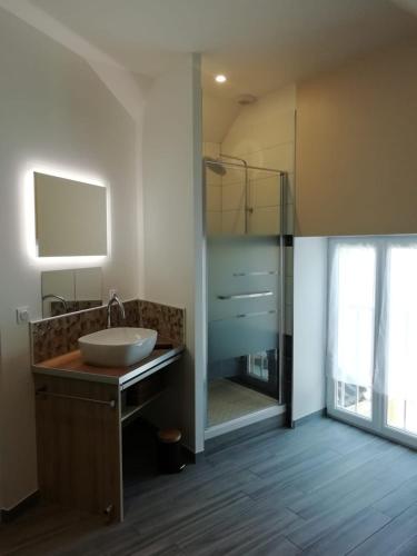 une salle de bain avec un lavabo et une douche en verre dans l'établissement Le Cottage de L Abbaye, à Lonlay-lʼAbbaye