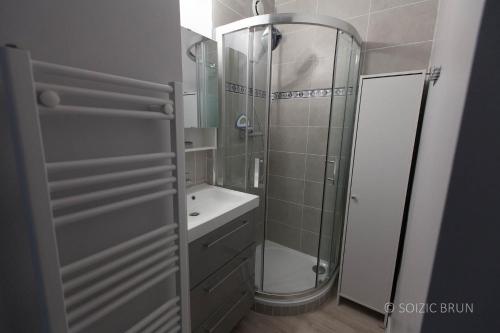 une salle de bain avec douche et lavabo dans l'établissement Princess of Bel Air avec garage privé et tennis - 300m plage et commerces, à Pornichet