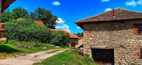an old stone house with a pathway next to a building at Vila Milenovic Rajacke Pivnice in Rajac