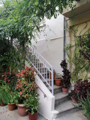 a staircase with potted plants on the side of a house at "Eirini" traditional house Creta Archanes, Αρχάνες σπίτι in Archanes