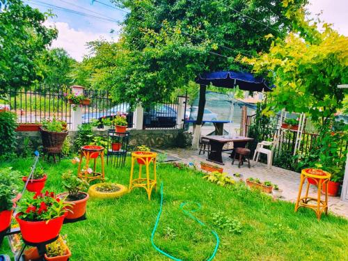 a garden with orange stools and plants in the grass at Casa Razvan Vama Veche in Vama Veche