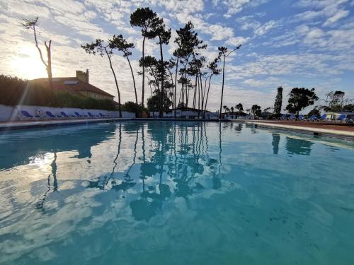 プライア・デ・ミラにあるMira Lodge Parkの青い水の大きなプール(木々を背景に)