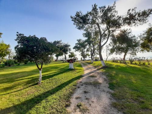 Gallery image of Sapfo Beach Studios in Nikiti