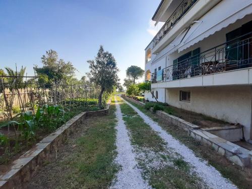 Gallery image of Sapfo Beach Studios in Nikiti