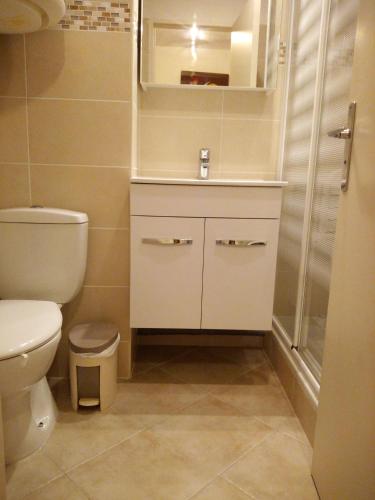 une salle de bain avec toilettes, lavabo et douche dans l'établissement studio bord de mer, à Saint-Mandrier-sur-Mer