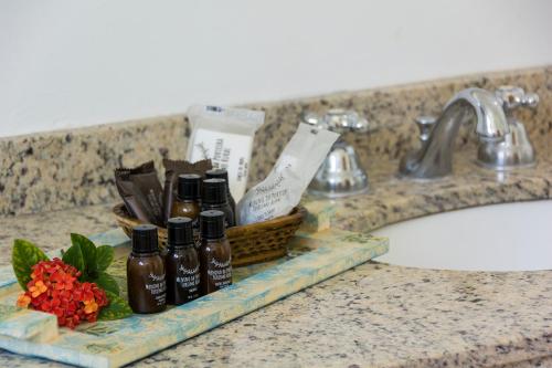 a bathroom counter with a sink with two bottles of soap at Hotel Fazenda Juca Mulato in Itapira