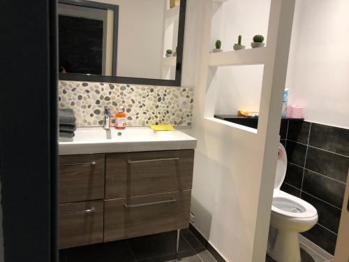 une salle de bain avec un lavabo et des toilettes dans l'établissement Appartement climatisé hyper centre de Marseille, à Marseille