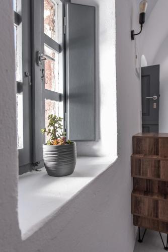a potted plant sitting on a window sill at Noelia Suites in Oia
