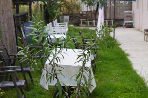 a table and chairs and a plant in the grass at Hotel Living in Šuto Orizari
